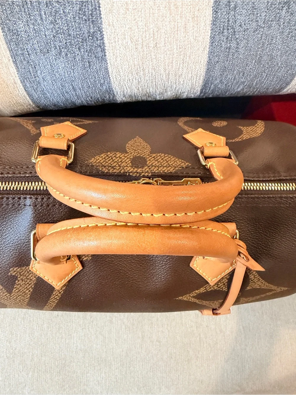 Louis Vuitton Speedy Giant Reverse Monogram